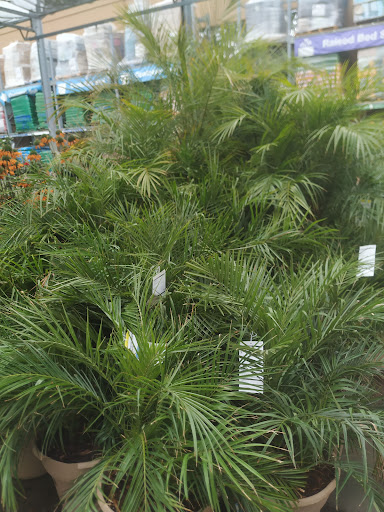 Home Improvement Store «The Home Depot», reviews and photos, 6000 Johnson Dr, Pleasanton, CA 94588, USA