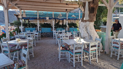 Smaragdus Fish Taverna-Ouzeri Authentic Greek Seafood Meze