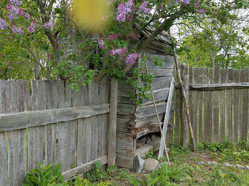 Museum «Coggeshall Farm Museum», reviews and photos, 1 Colt Dr, Bristol, RI 02809, USA