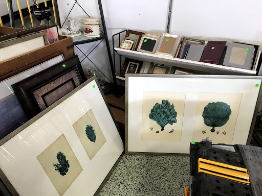 Non-Profit Organization «Habitat for Humanity of South Hampton Roads», reviews and photos