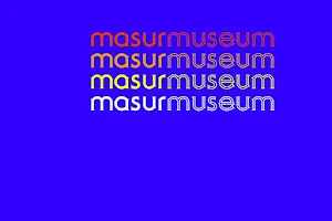 Masur Museum of Art image