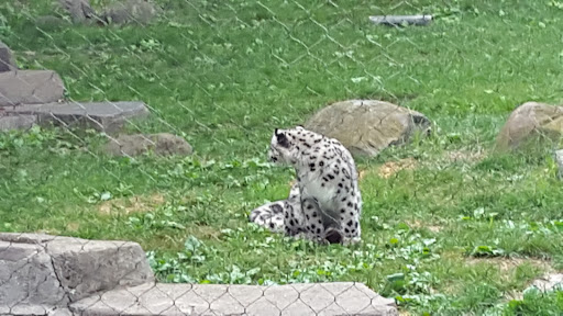 Zoo «Fragile Desert», reviews and photos, 3300 Golf Rd, Brookfield, IL 60513, USA