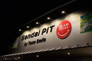 Sendai PIT image