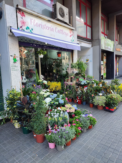Floristeria Cattleya BCN en Eixample