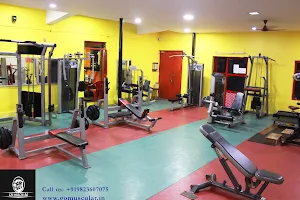 Go Muscular Gym & Fitness Centre - The Best Gym In Bicholom . image