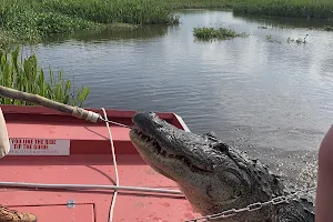 New Orleans Airboat Tours, LLC image