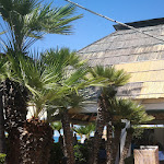 Photo n°1 de l'avis de ernesto.' fait le 09/07/2023 à 16:17 sur le  Lido Calypso à Tropea