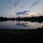 Photo n°1 de l'avis de Katrin.. fait le 18/07/2021 à 15:20 sur le  Gaststätte Zur Fischerhütte am Bahnweiher à Schifferstadt