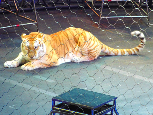 Arena «Philips Arena», reviews and photos, 1 Philips Dr, Atlanta, GA 30303, USA