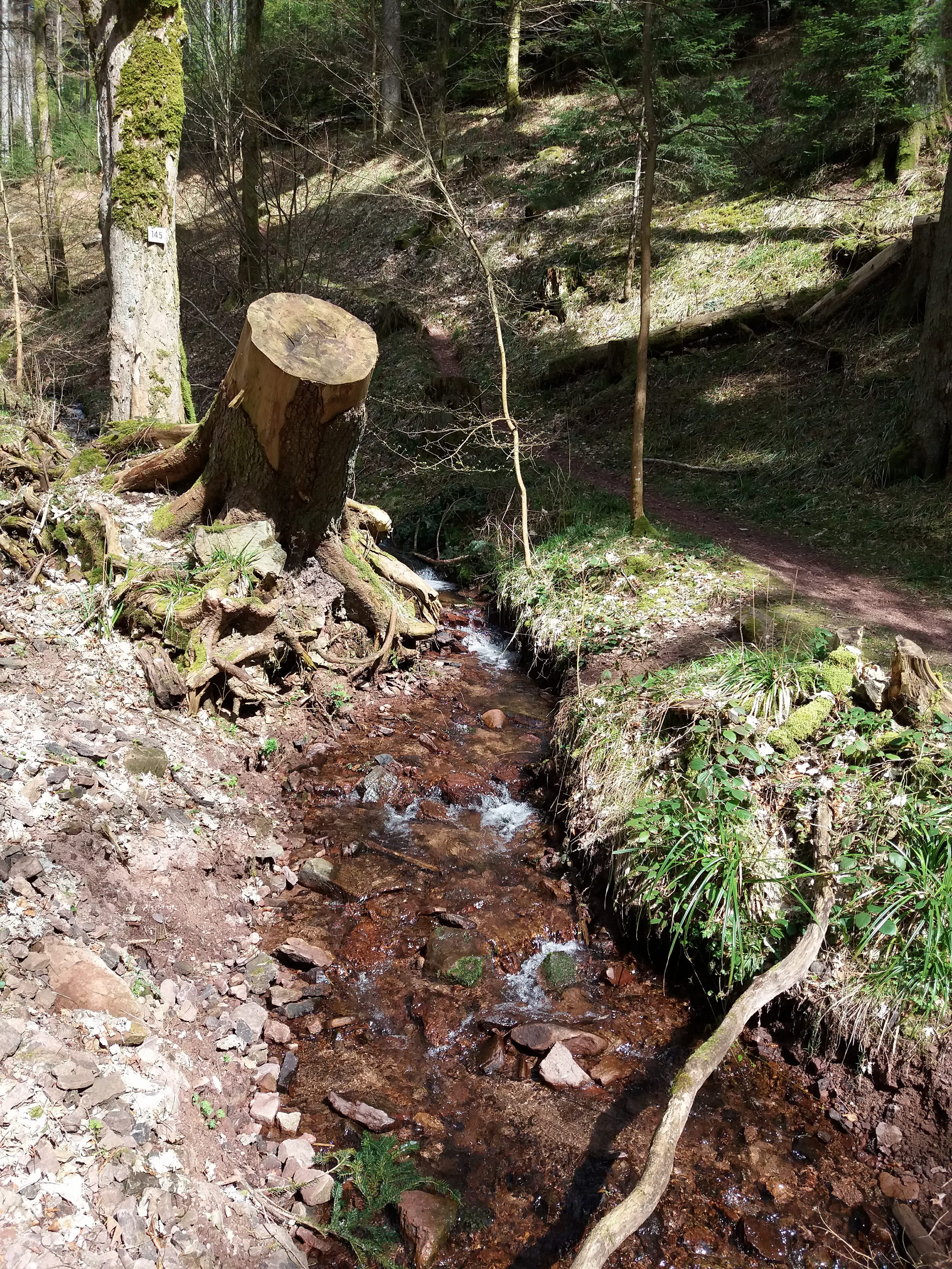 Photo n° 27 de l'avis de yann.a fait le 12/04/2018 à 05:08