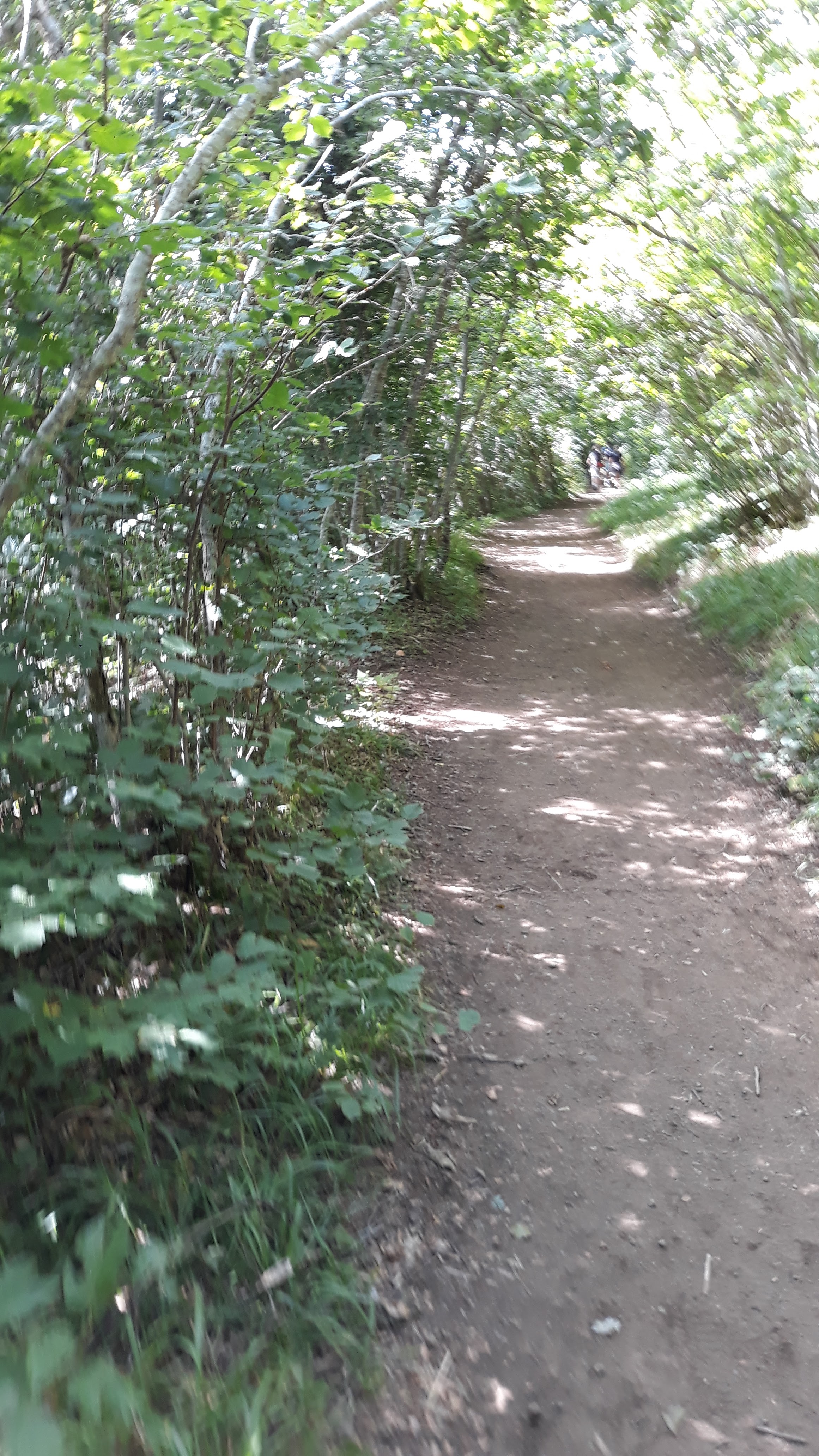 Photo n° 15 de l'avis de Mathis.l fait le 17/08/2019 à 07:13