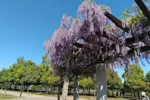 Matsubushi Midori no Oka Park image