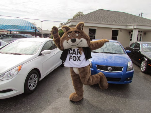 Car Dealer «Cars Unlimited», reviews and photos, 201 W Fletcher Ave, Tampa, FL 33612, USA