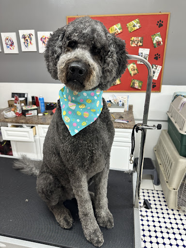 Photo of Shake A Paw Dog Grooming