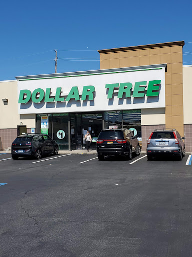 Dollar Store «Dollar Tree», reviews and photos, 168 Glen Cove Rd #C, Carle Place, NY 11514, USA