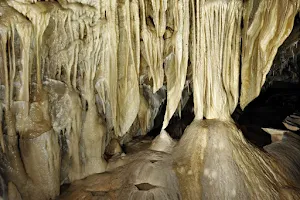 The Bear Cave image