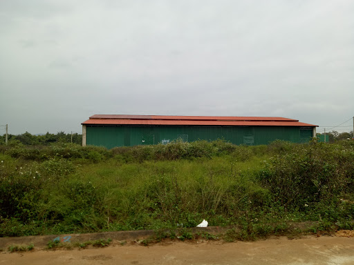 Dan cư Thái Bình Dương