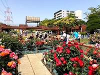 フラワーガーデン