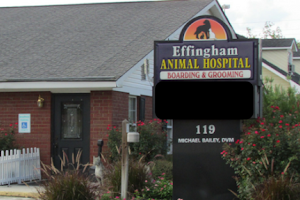 Effingham Animal Hospital image