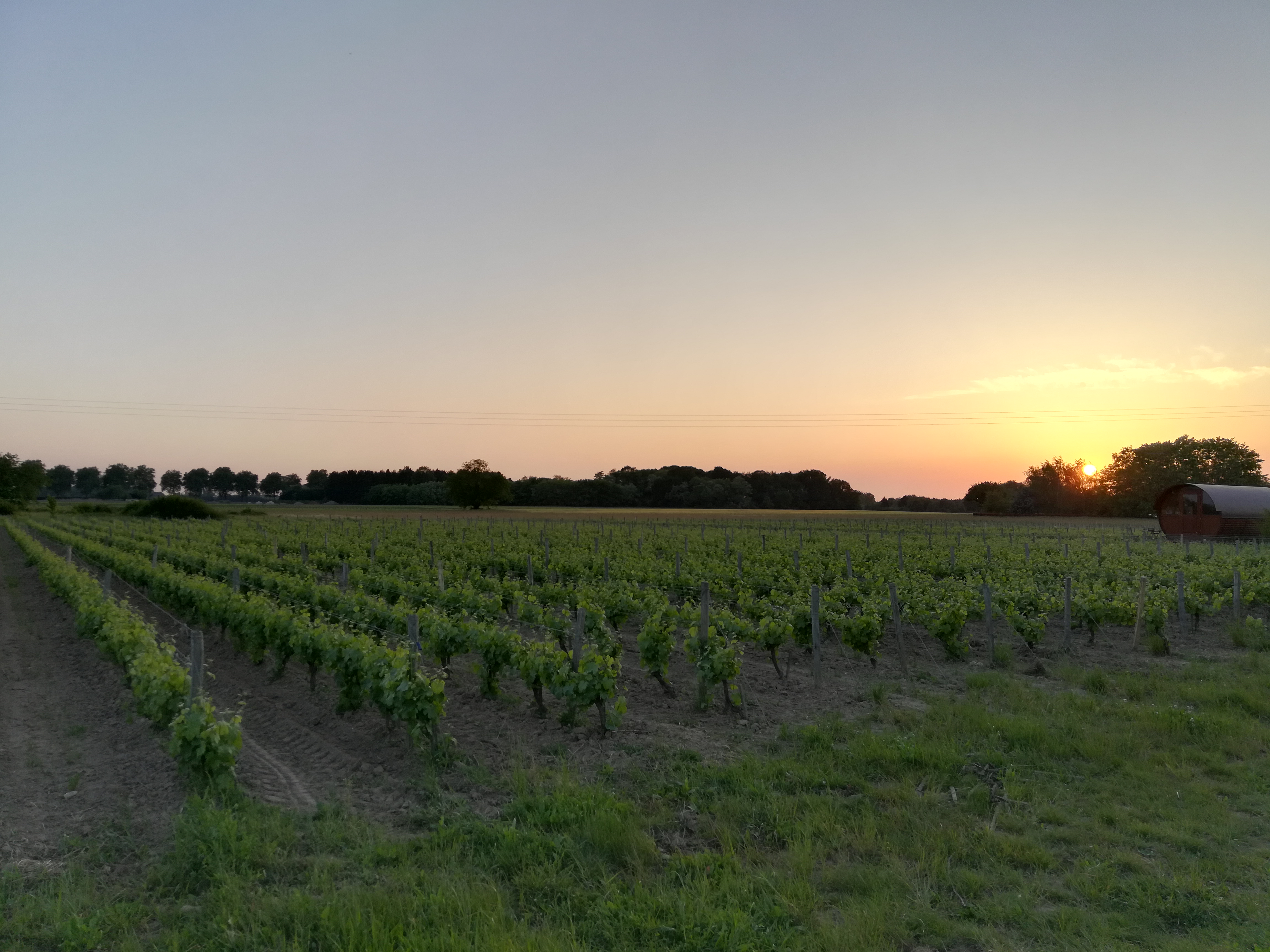 Photo n° 3 de l'avis de Paulo.a fait le 19/05/2018 à 19:27