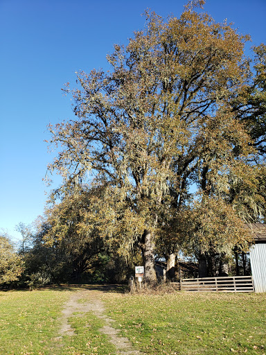 Winery «Tyee Wine Cellars», reviews and photos, 26335 Greenberry Rd, Corvallis, OR 97333, USA