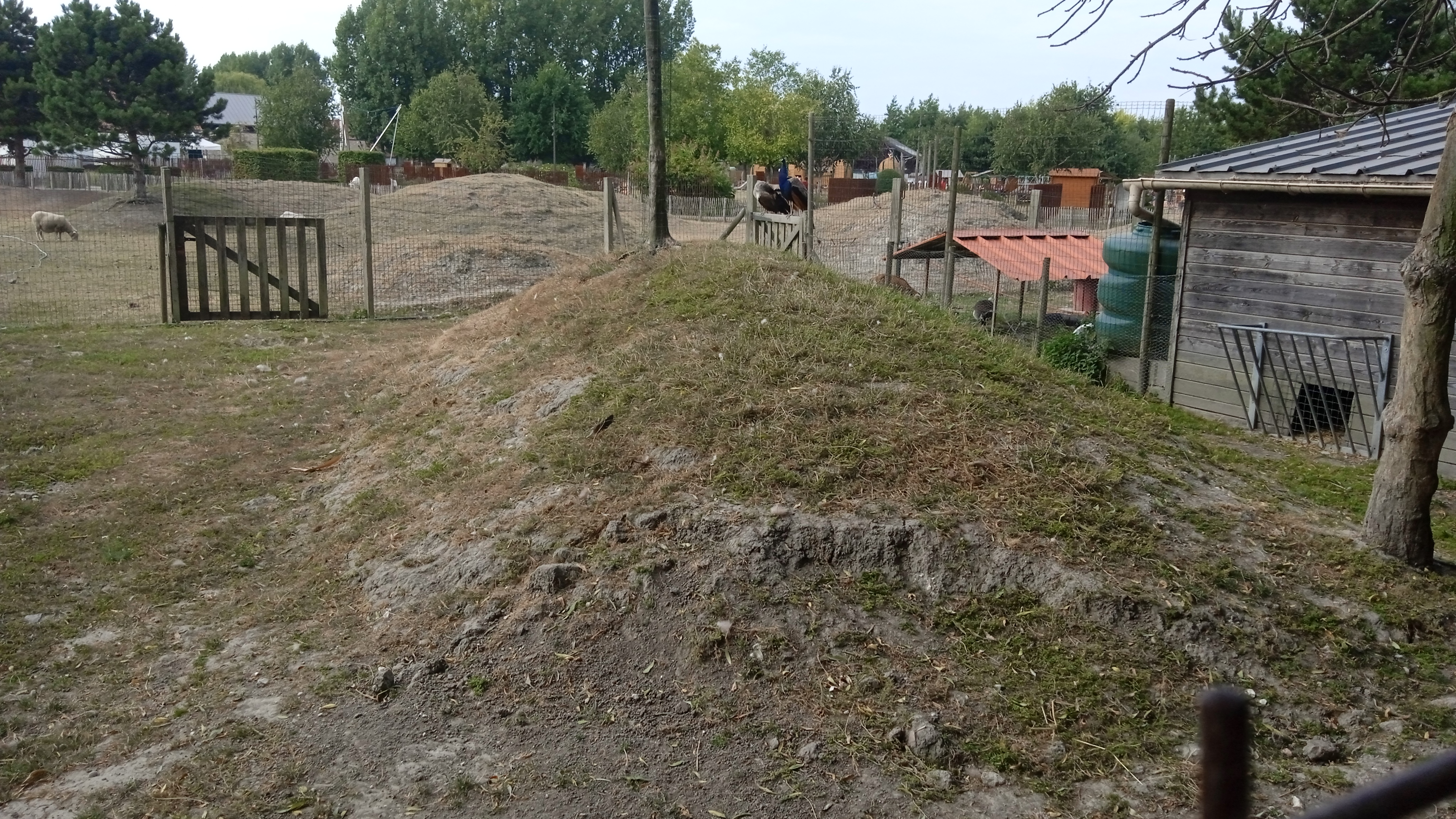 Photo n° 16 de l'avis de Phillipe.a fait le 15/08/2022 à 15:48