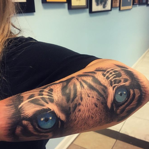 Tattoo Shop «Dark Horse Tattoos», reviews and photos, 395 Garrisonville Rd #103, Stafford, VA 22554, USA