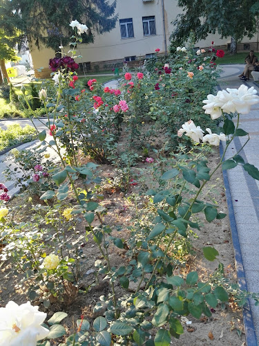 Кафе Рая - Кафене