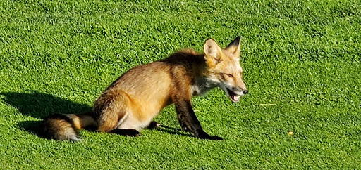 State Park «Bethpage State Park», reviews and photos, 99 Quaker Meeting House Rd, Farmingdale, NY 11735, USA