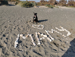 Photo de Parklane Dog's Beach avec un niveau de propreté de très propre