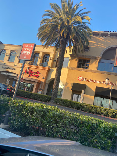 Restaurant «The Cheesecake Factory», reviews and photos, 1141 Newport Center Dr, Newport Beach, CA 92660, USA