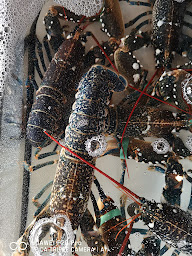 Photo n°69 de Le Loup de Mer à Audresselles ()