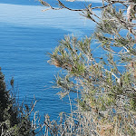 Photo n°5 de l'avis de Paola.i fait le 30/01/2022 à 09:36 sur le  Calandre à Ventimiglia