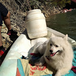 Photo n° 1 de l'avis de Maiwen.a fait le 16/08/2020 à 15:06 pour Verdon Canoe à Aiguines
