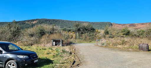 P.Connors AutoElectric