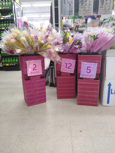 Discount Store «Dollar General», reviews and photos, 462 E Springfield Rd, Arcola, IL 61910, USA