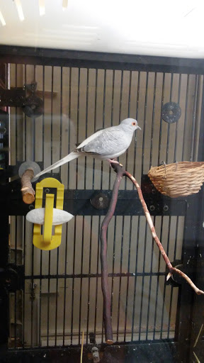 Pet Supply Store «PetSmart», reviews and photos, 4045 Dowlen Rd, Beaumont, TX 77706, USA