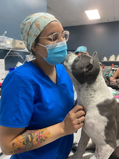 Heaven Can Wait Animal Society Wellness Clinic image