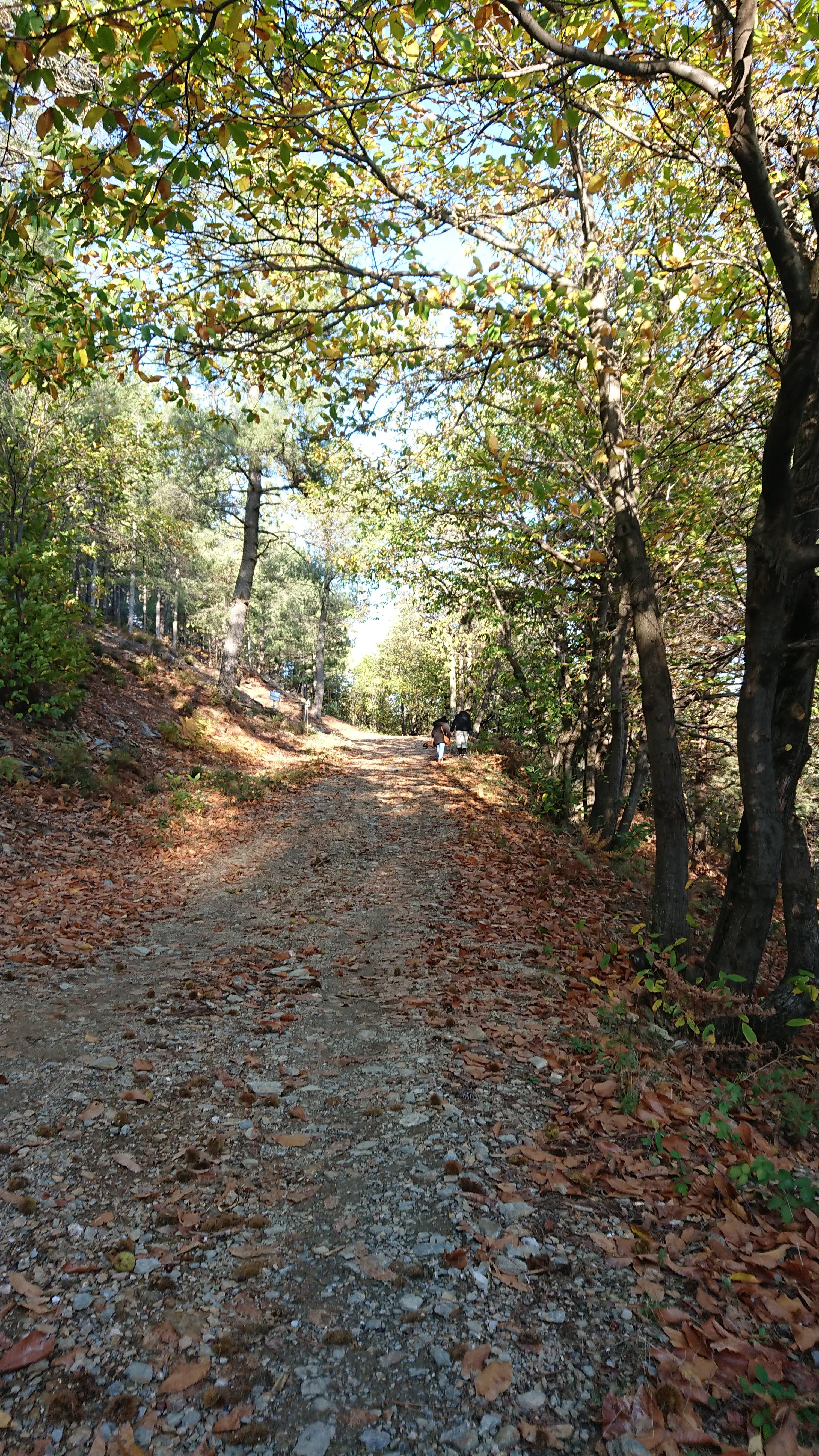 Photo n° 3 de l'avis de Lea.r fait le 29/10/2022 à 11:38