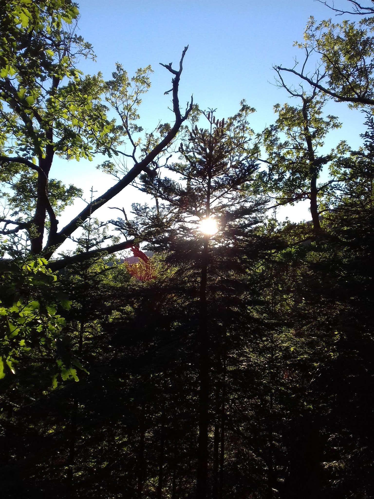 Photo n° 4 de l'avis de Claudio. fait le 15/01/2019 à 22:16