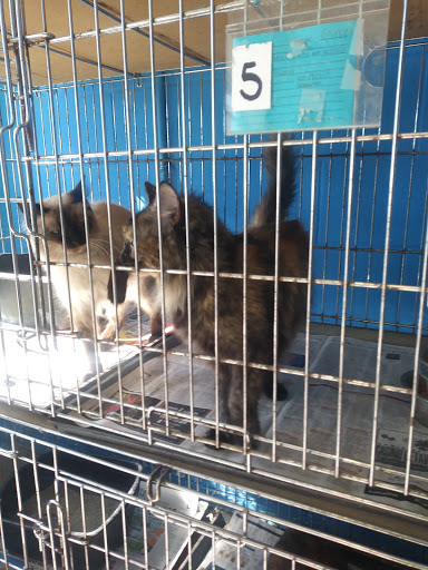 Isabel Y. Garcia Animal Shelter