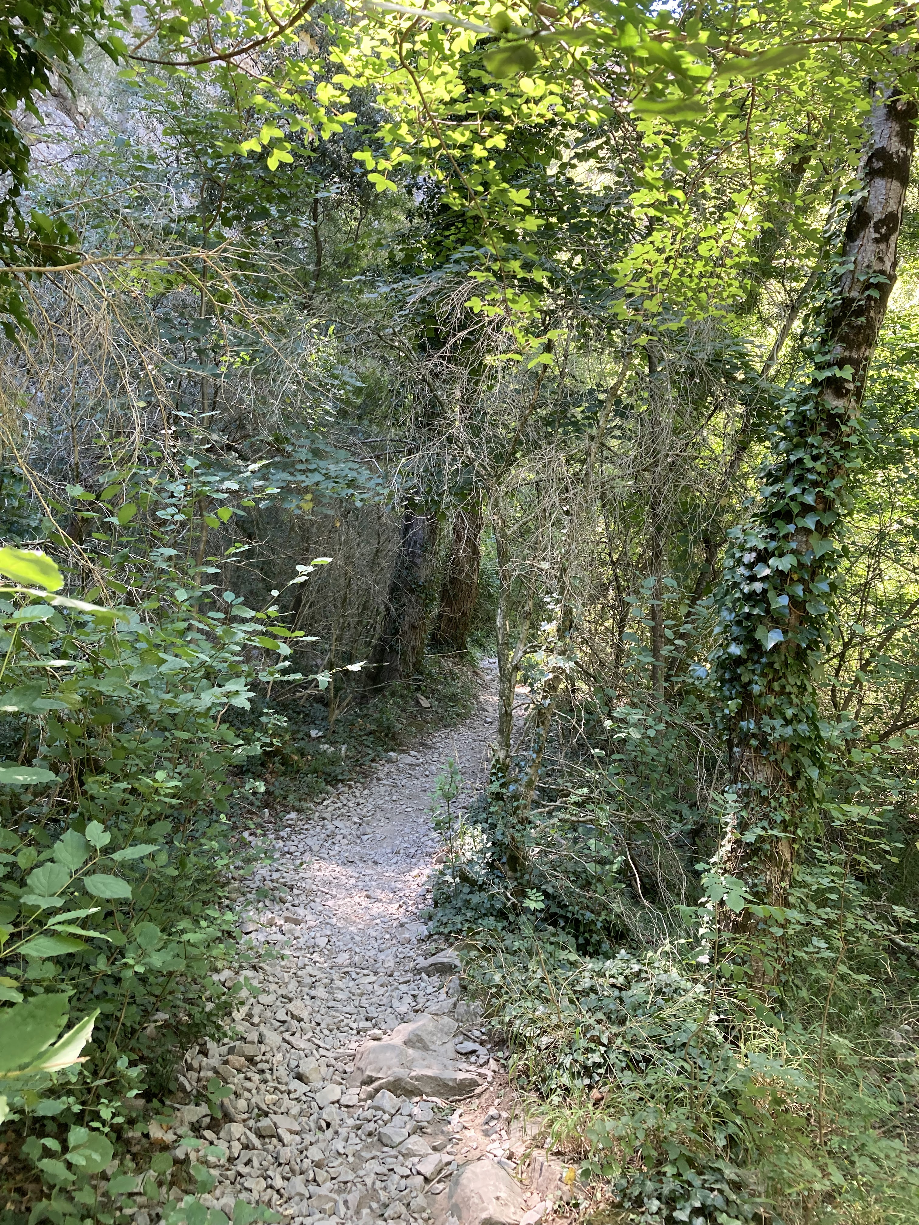 Photo n° 13 de l'avis de roland.i fait le 08/08/2023 à 19:41