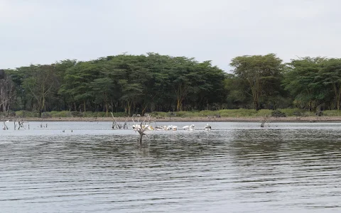 Lake Naivasha Hippo Camp & Wildlife Sanctuary image