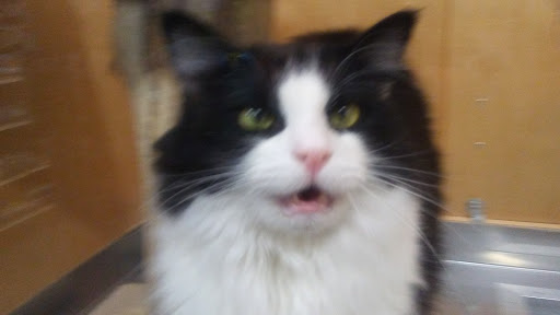 Pet Supply Store «Pet Loft», reviews and photos, 6333 SW Macadam Ave #104, Portland, OR 97239, USA