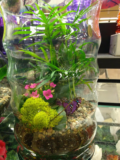 Shopping Mall «Airport Mall», reviews and photos, 1129 Union St, Bangor, ME 04401, USA