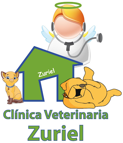 Opiniones de Veterinaria Zuriel - Médico Veterinaria Zootecnista en Quito - Veterinario
