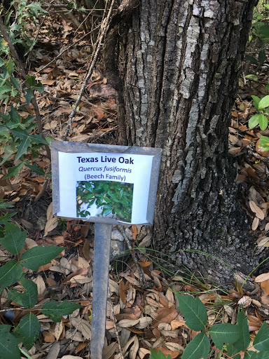 Park «Wild Basin Wilderness Preserve», reviews and photos, 805 N Capital of Texas Hwy, Austin, TX 78746, USA