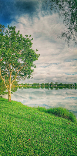 Park «Royal Palm Park», reviews and photos, 1701 NW 38th St, Oakland Park, FL 33309, USA