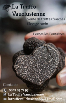 Épicerie La Truffe Vauclusienne Pernes-les-Fontaines