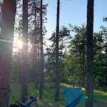 Photo n°1 de l'avis de Giacomo.i fait le 30/07/2020 à 19:47 sur le  Camping La Martina à Monghidoro